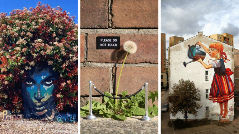 art urbain street végétation nature ville