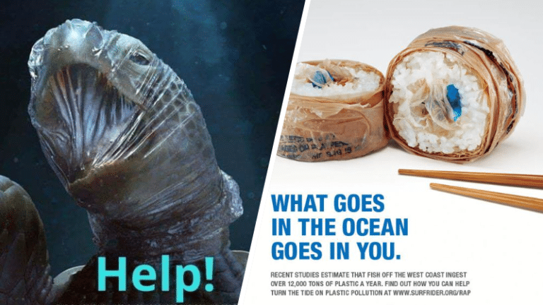 campagnes affichages affiches ONG pollutions mers océans plastique