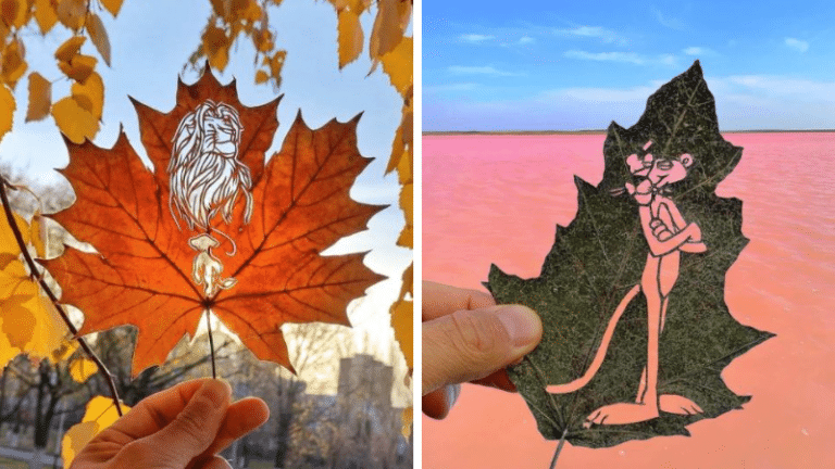 feuilles mortes automne œuvres d'art