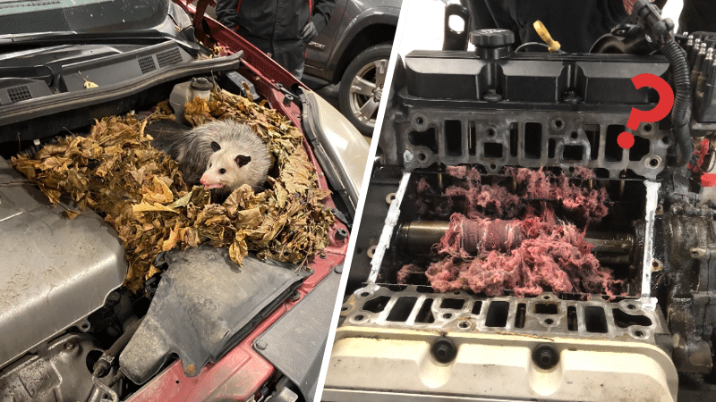 mécaniciens loufoques insolites garages voitures accidents garagistes