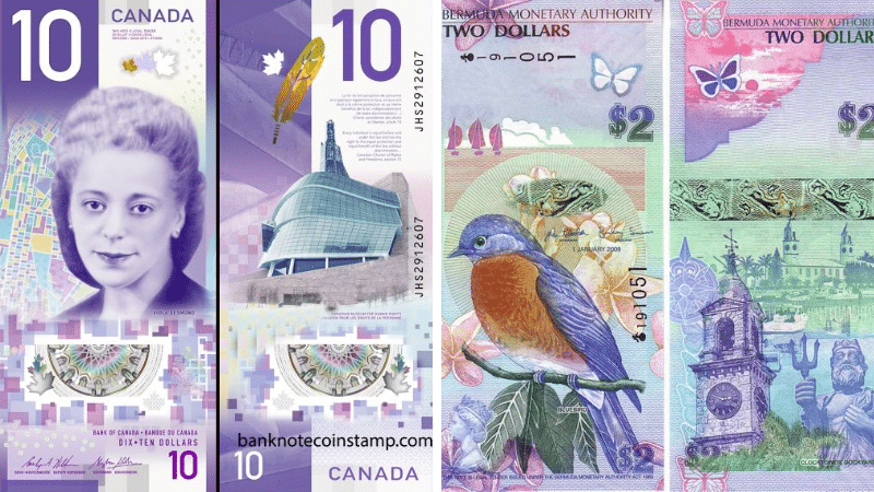 coupures billets banque beaux monde globe planète