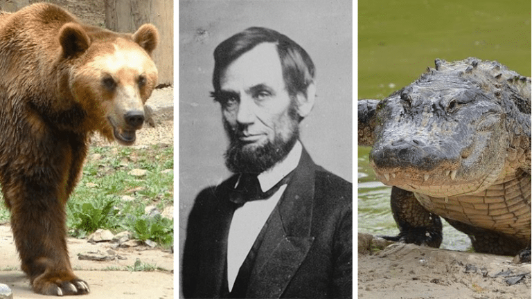 États-Unis présidents animaux de compagnie