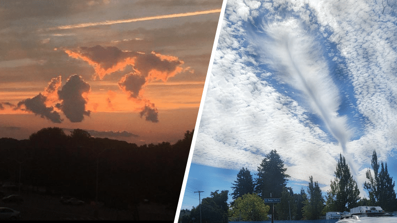 nuages cumulus paréidolie