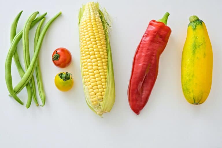 Légumes fruits botanique