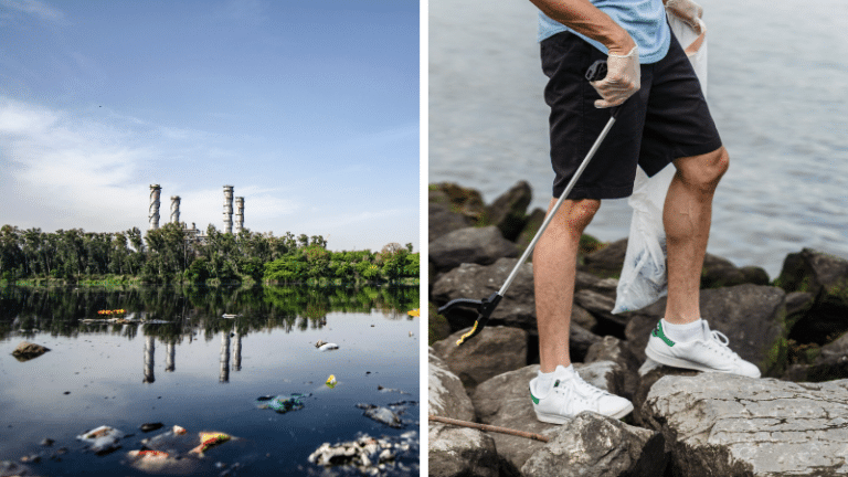 comportements océans propres cours d'eau rivières lacs