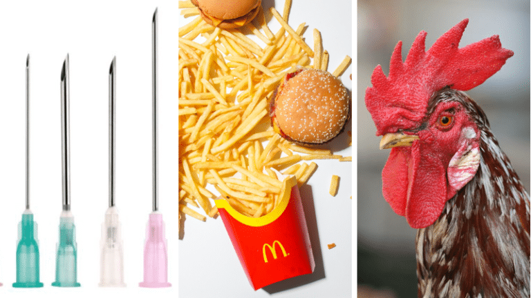 choses dégoûtantes McDonald's