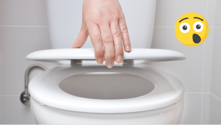 toilettes cuvette des wc